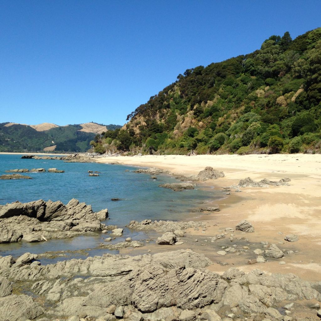 The shore of a beach.