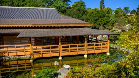 Exterior shot of a Japanese-style building surrounded by trees and gardens.