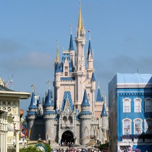 Photo of the castle and other buildings in Disney World.