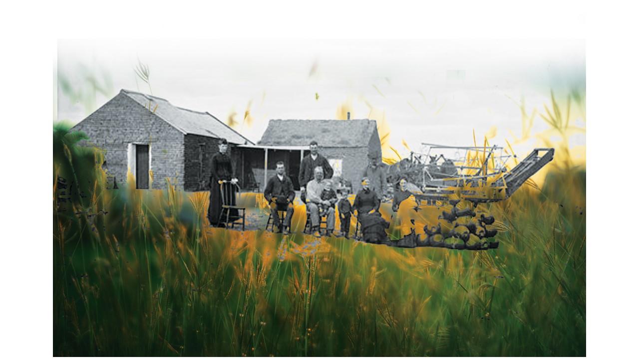 Searching for Truffles History Nebraska is using curiosity to grow