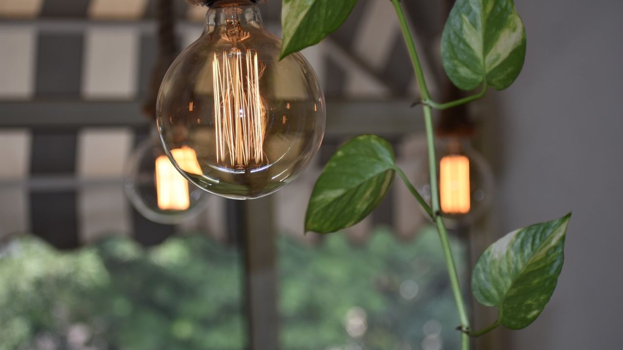 Decorative