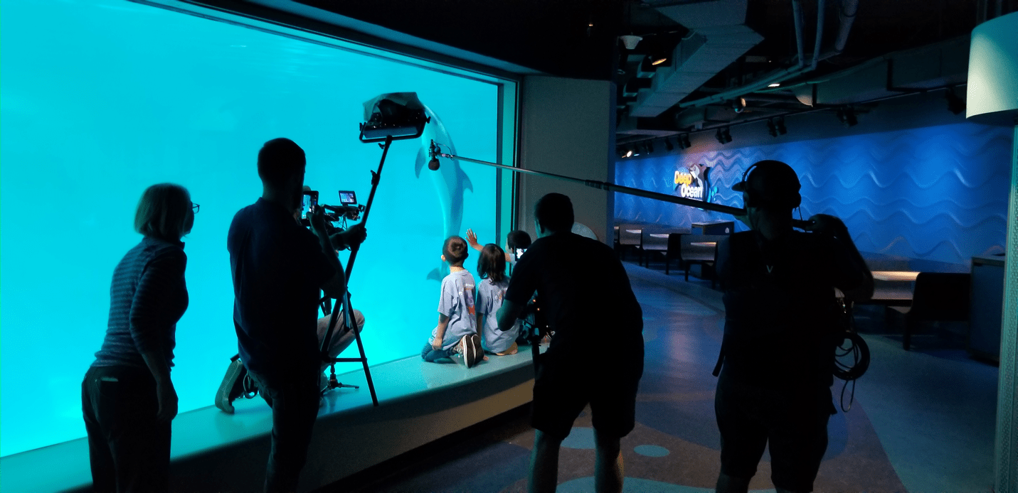 A camera crew is set up in front of children watching a dolphin in an aquarium.