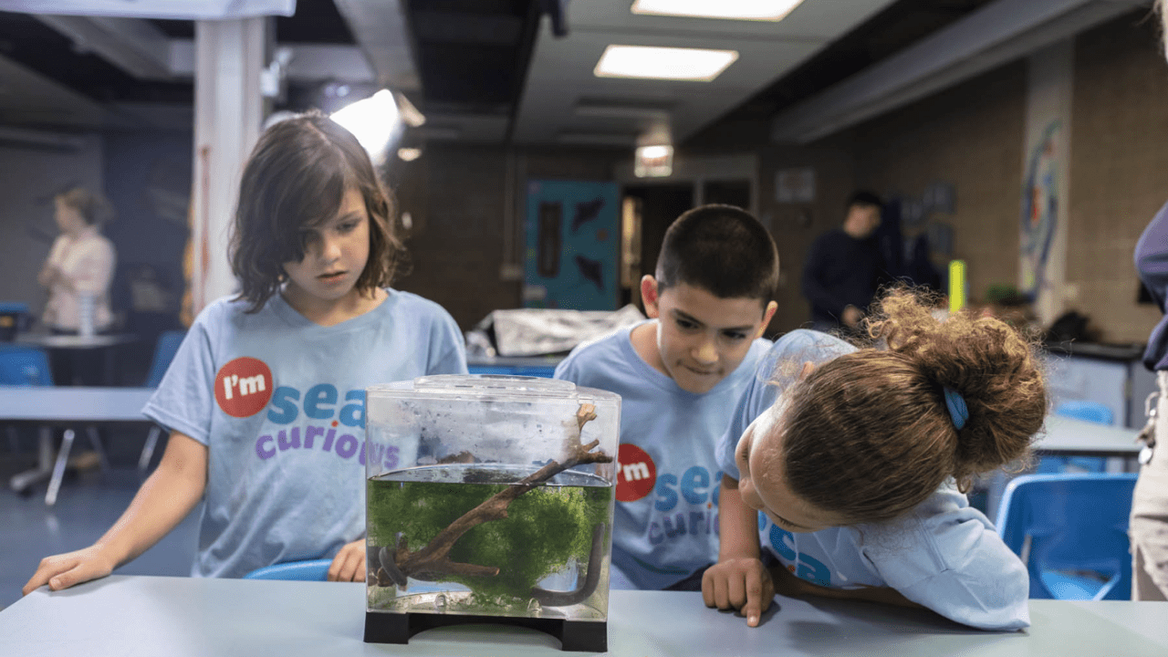 Children look at a tank of algae in a laboratory setting.