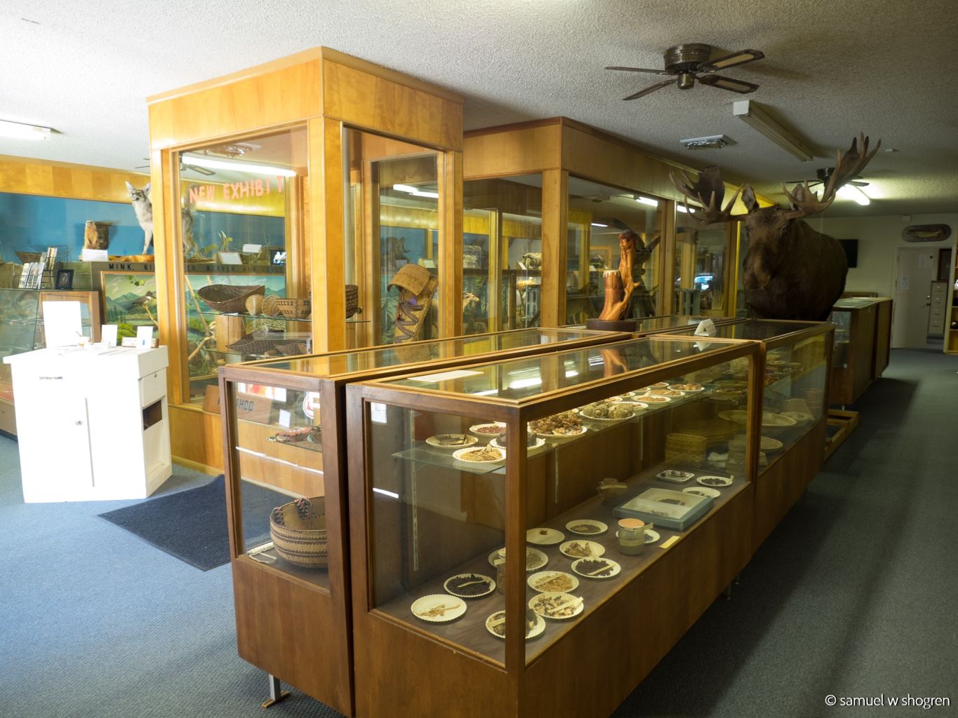 An interior of the museum with art and artifacts on display in glass cases.