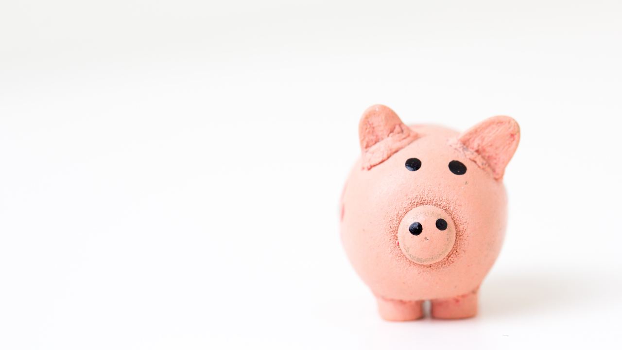 A small pink piggy bank sits off center against a white background.