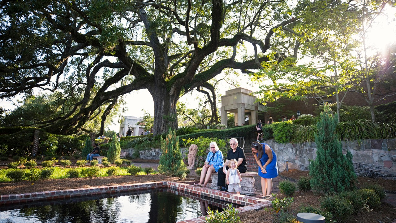 People sit next to a reflecting pool under a large tree at dusk.