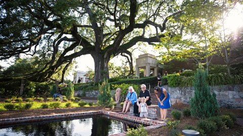 People sit next to a reflecting pool under a large tree at dusk.