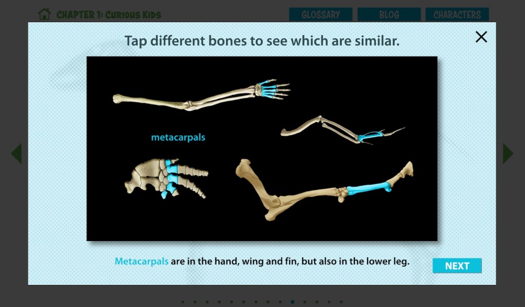 The screen reads "Tap different bones to see which are similar." "Metacarpals" is selected, and the definition reads "Metacarpals are in the hand, wing and fin, but also in the lower leg."