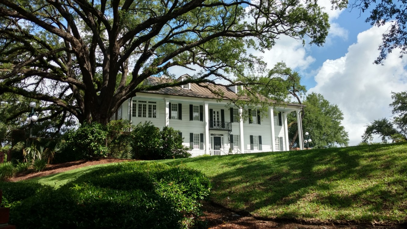 An exterior shot of a historic home shaded by a large tree and overlooking an expansive lawn.
