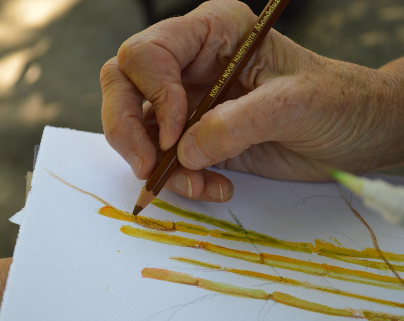 A close-up of a hand holding a colored pencil, drawing stalks of bamboo on paper.