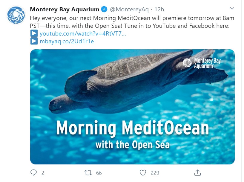 A tweet from Monterey Bay Aquarium reading, "Hey everyone, our next Morning MeditOcean will premiere tomorrow at 8am PST—this time, with the Open Sea! Tune in to YouTube and Facebook here:"