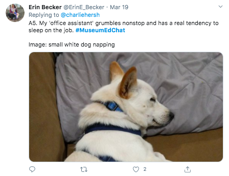 A tweet from Erin Becker reading "A5. My 'office assistant' grumbles nonstop and has a real tendency to sleep on the job. #MuseumEdChat" with an image of a small white dog napping attached.