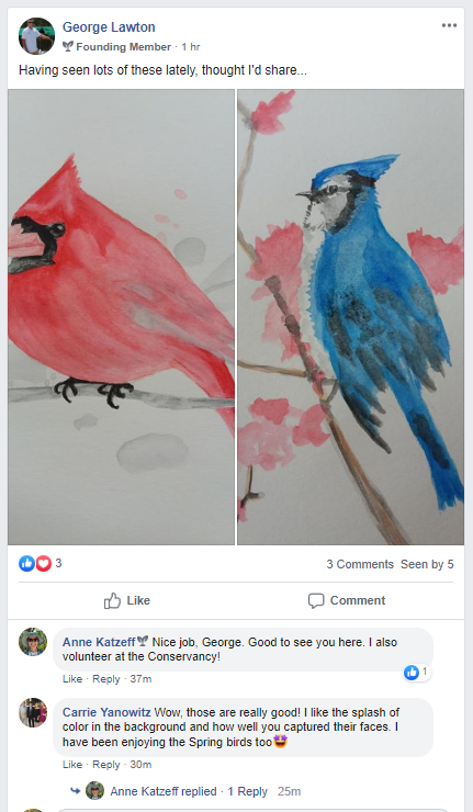 A program participant sharing watercolor illustrations of birds, with the instructor leaving compliments for details of the illustrations.