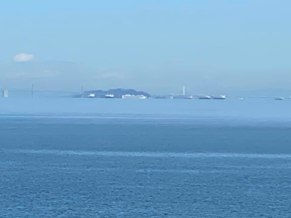 Cruise Ship enters San Francisco Bay, carrying passengers who have tested positive for COVID-19, March 8, 2020. Photo credit: Kristin Wight.