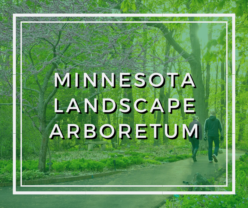 A graphic of a nature path with the name of the museum overlaying it