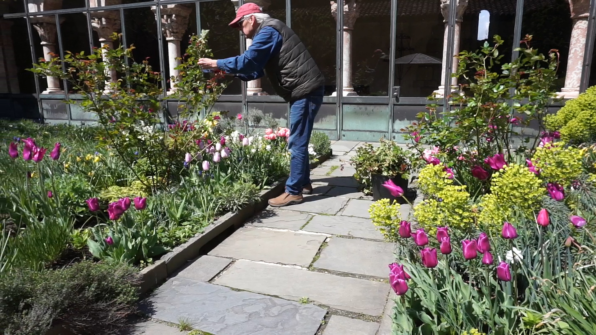 A man stands on a stone laid path touch plants as he checks them on his walk through.