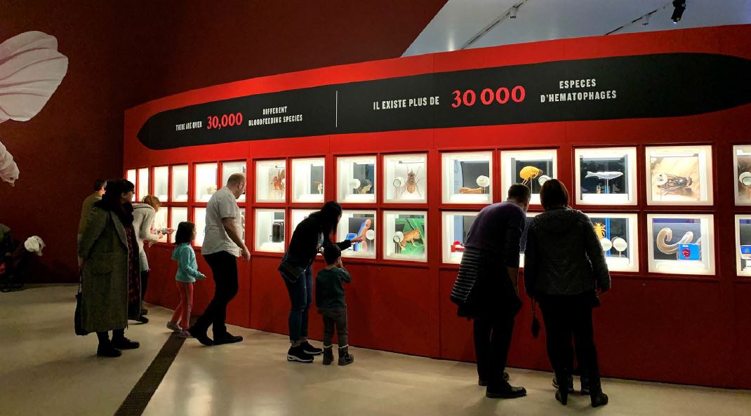 Several people peer at framed works of art on a wall.