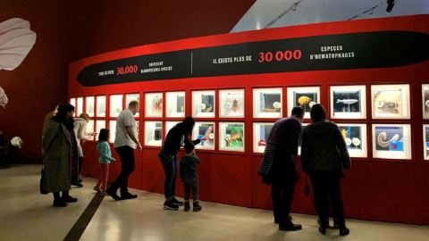 Several people peer at framed works of art on a wall.