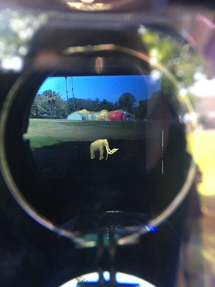 A view through an eye hole at a simulated tusked animal overlaid on the landscape outside