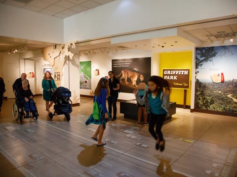 Children walking over a projection of freeway traffic on the floor