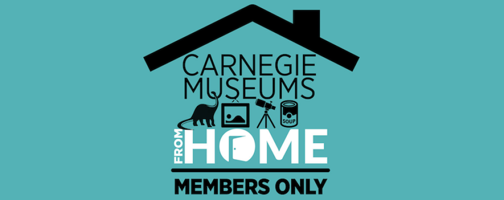A graphic reading "Carnegie Museums from Home: Members Only" with icons of a dinosaur, painting, telescope, and soup can.