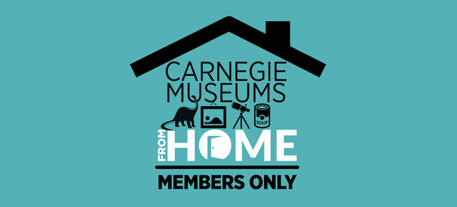 A graphic reading "Carnegie Museums from Home: Members Only" with icons of a dinosaur, painting, telescope, and soup can.