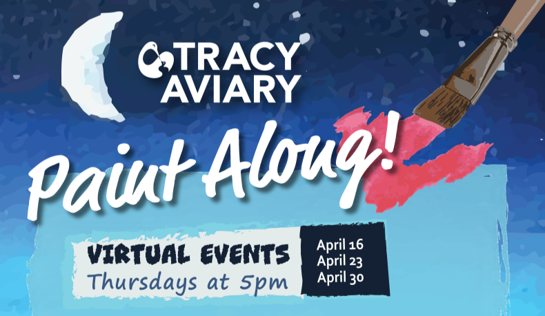 A graphic reading "Tracy Aviary: Paint Along! Virtual Events Thursdays at 5pm / April 16, April 23, April 30"