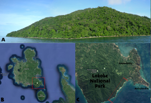 A picture and map of a small forested island