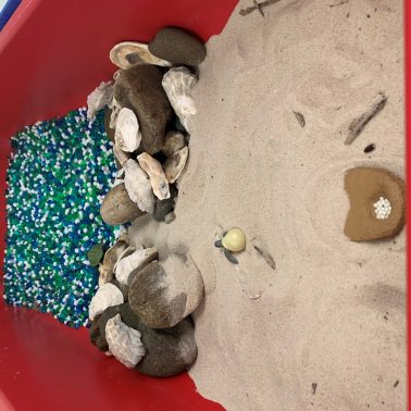 A bin containing sand, rocks, shells, and beads as a sensory activity