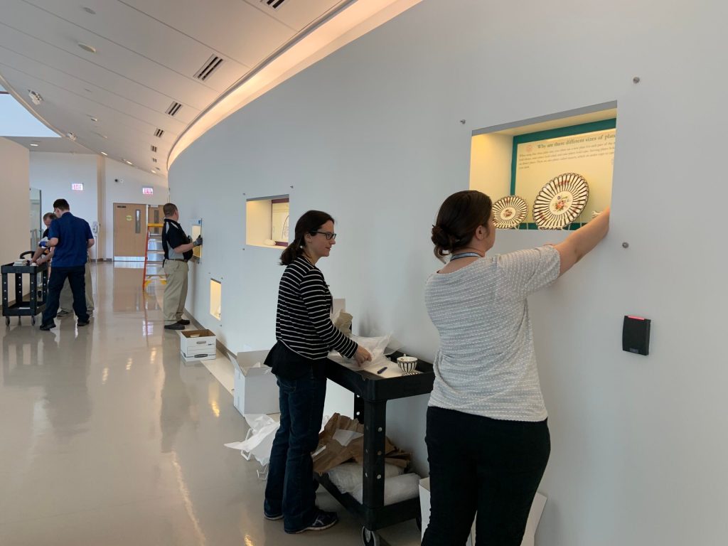 Museum staff with wheeling carts placing plates and accompanying wall text in niches in the hospital walls