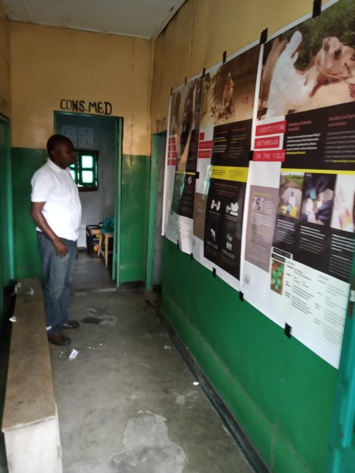 A man in white shirt and jeans looks at a green wall with 3 posters taped up. 