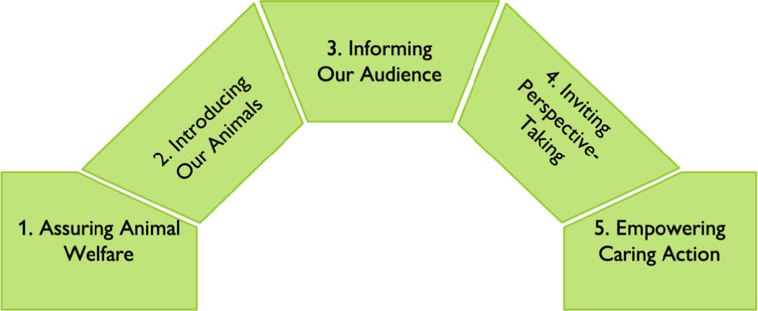 A chart showing a series of steps: 1. Assuring Animal Welfare 2. Introducing Our Animals 3. Informing Our Audience 4. Inviting Perspective-Taking 5. Empowering Caring Action