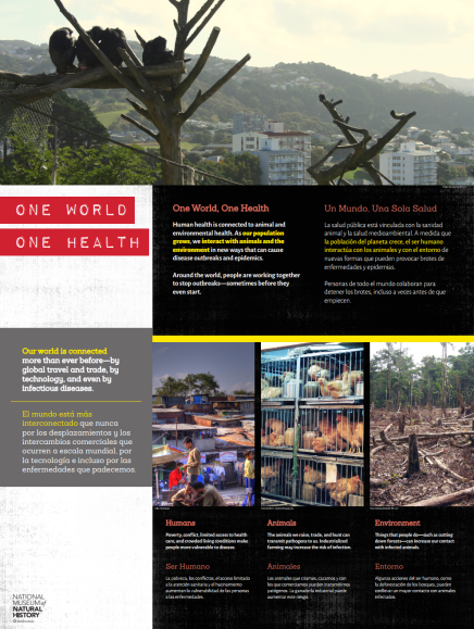 One World, One Health DiY panel - monkeys sitting in a tree at top image, 3 images at bottom: a crowded tent camp, chickens in cages, and a cut down forest