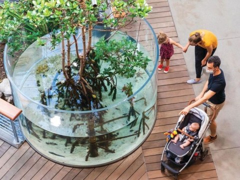 A family with small children, one in a stroller, stand next to a display with a circular, clear container with trees and fish.