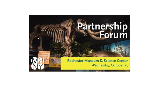 mastedon skeleton on view at Rochester Museum & Science Center