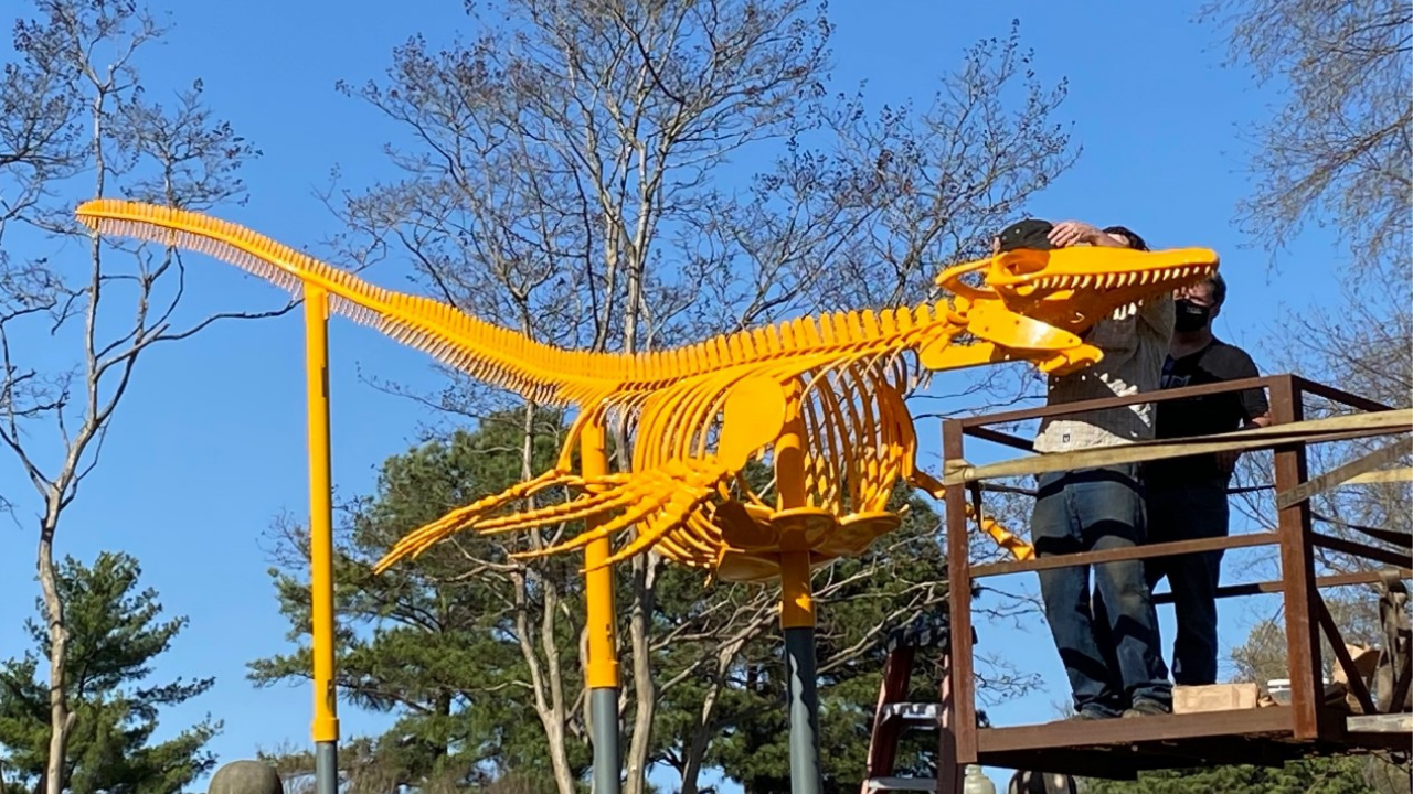 A worker installing a bright yellow metal sculpture of a dinosaur outside