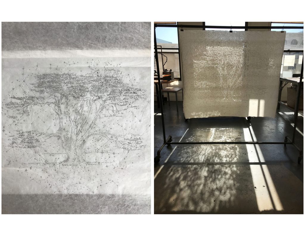A side-by-side view of a design for a fabric screen with small cut-outs in the shape of a tree, shown against a window so that the pattern reflects onto the concrete floor.