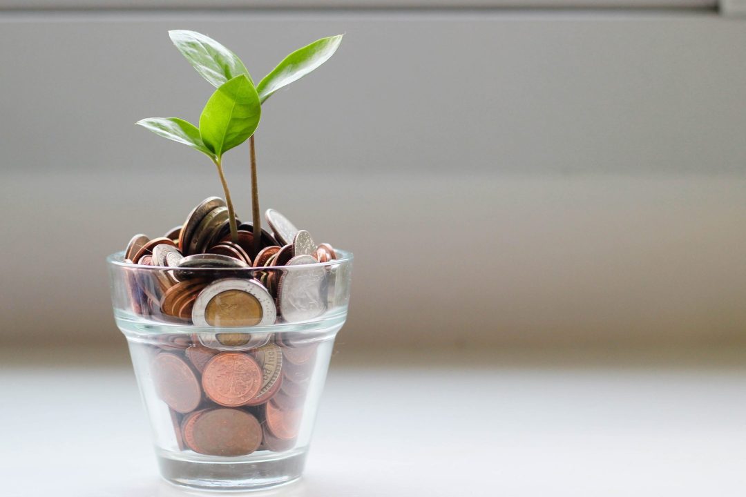 A small plant growing out of a translucent pot filled with coins