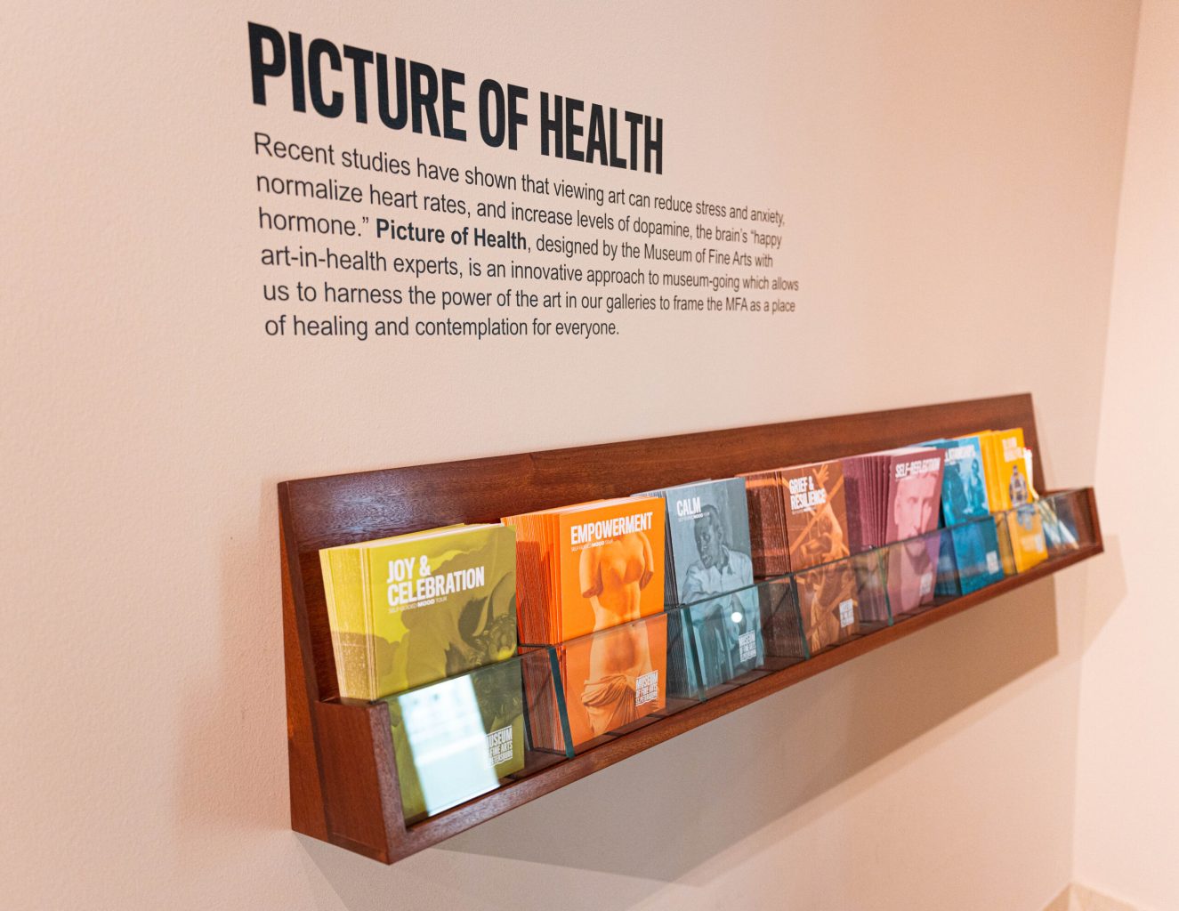 A row of pamphlets in different colors and mood-themed titles with the title "Picture of Health" and explanatory text about the initiatitive