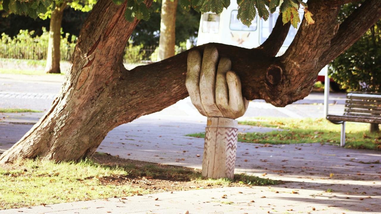 A sculpture of a hand supporting a tree branch