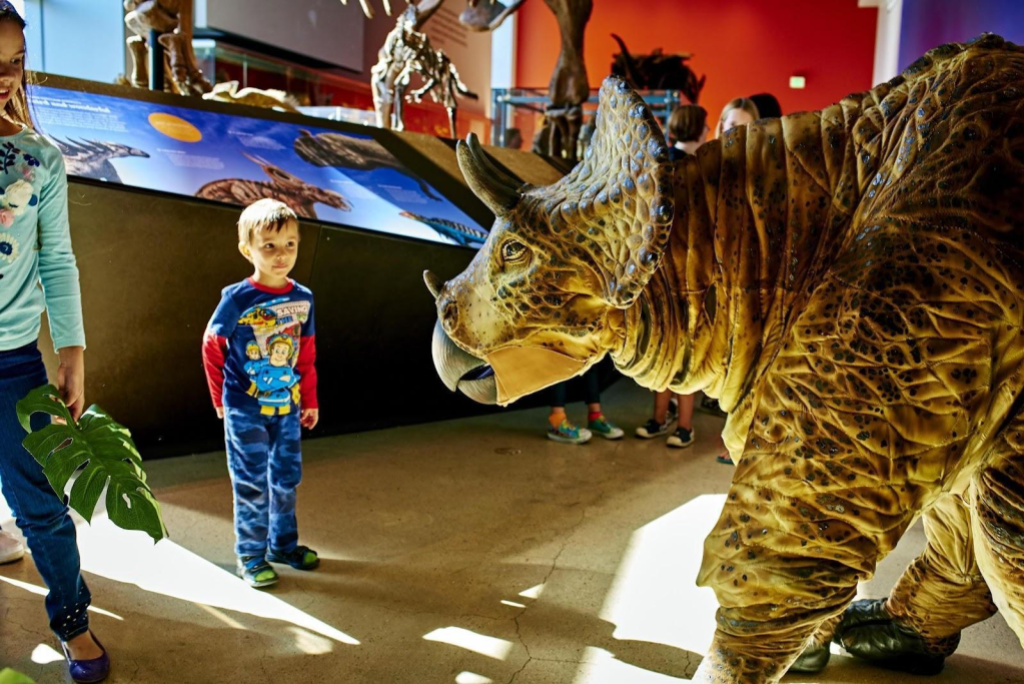 A child looking at a lifelike puppet of a triceratops with a curious expression