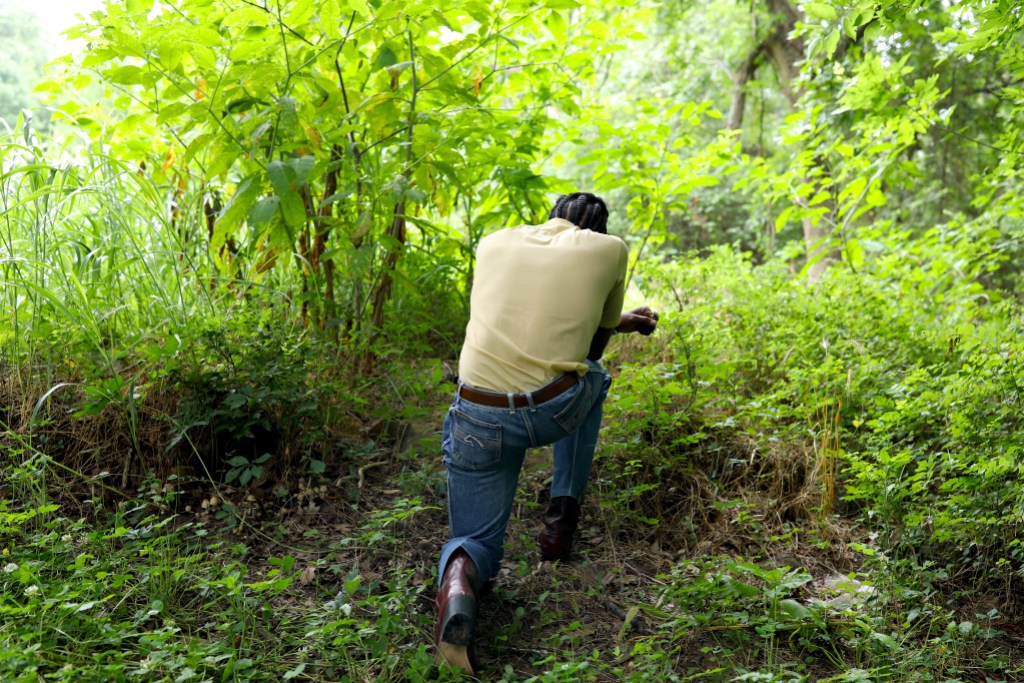 A person seen from behind kneeling on the ground in a lush forest.