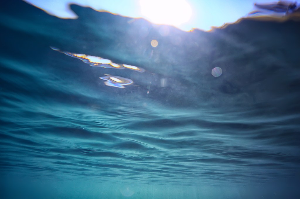 A view of a body of water from just below the surface