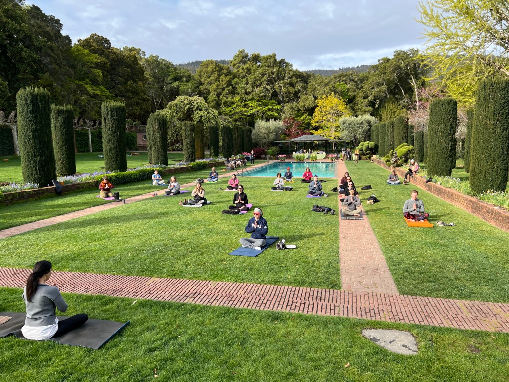 People doing yoga on mats in an ornamental garden space