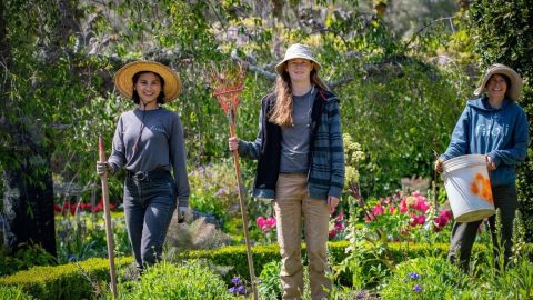 Three people working in a garden wearing Filoli uniforms