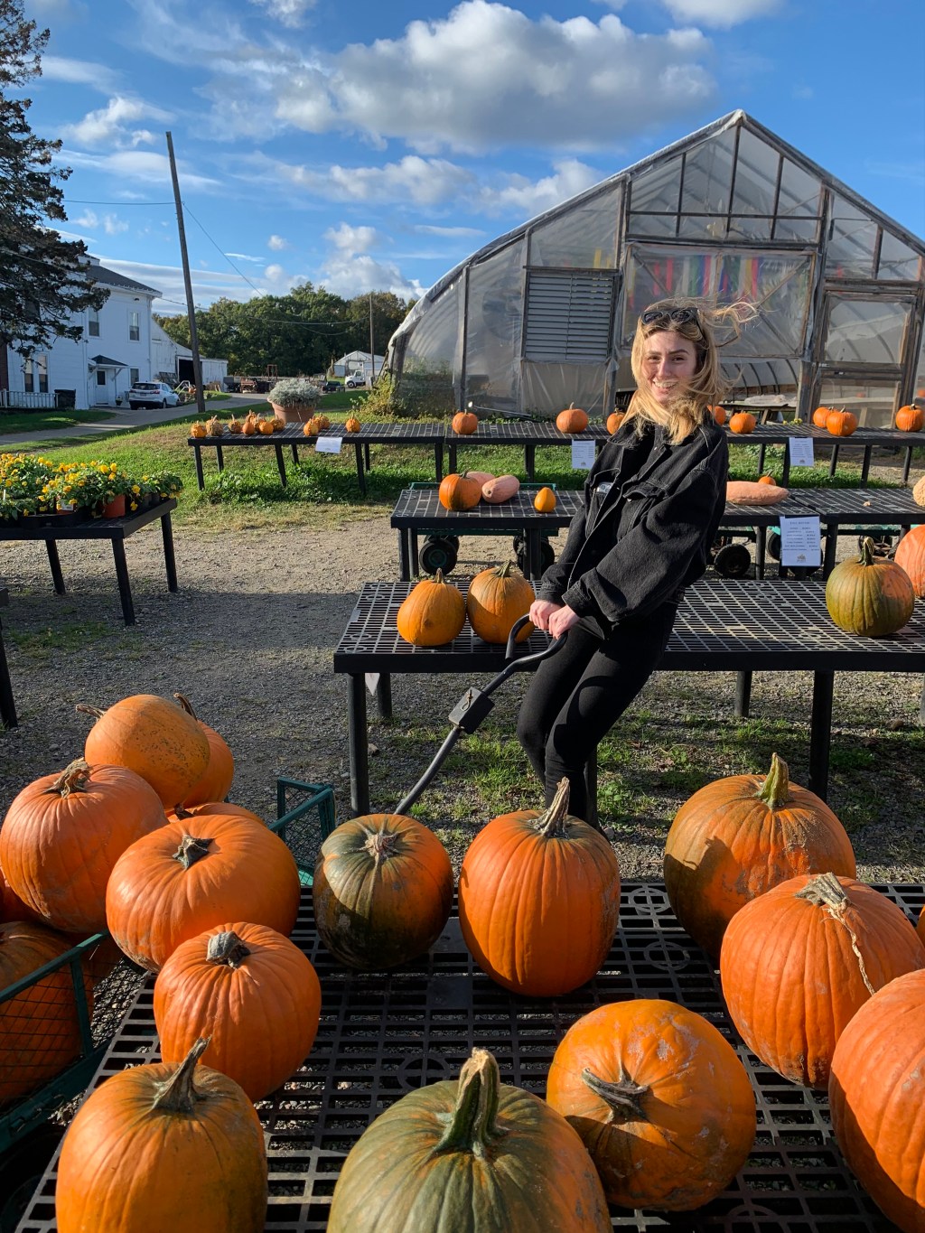 A person standing in an outdoor market selling pumpkins