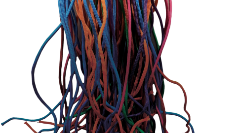 A bundle of different colored strings handing down and curling at the ends.
