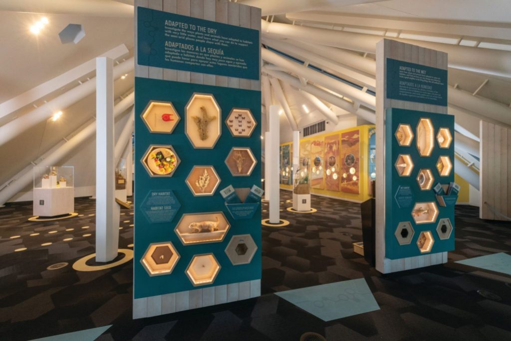 Several exhibit boards with plants, fungi, and animal specimens on display.