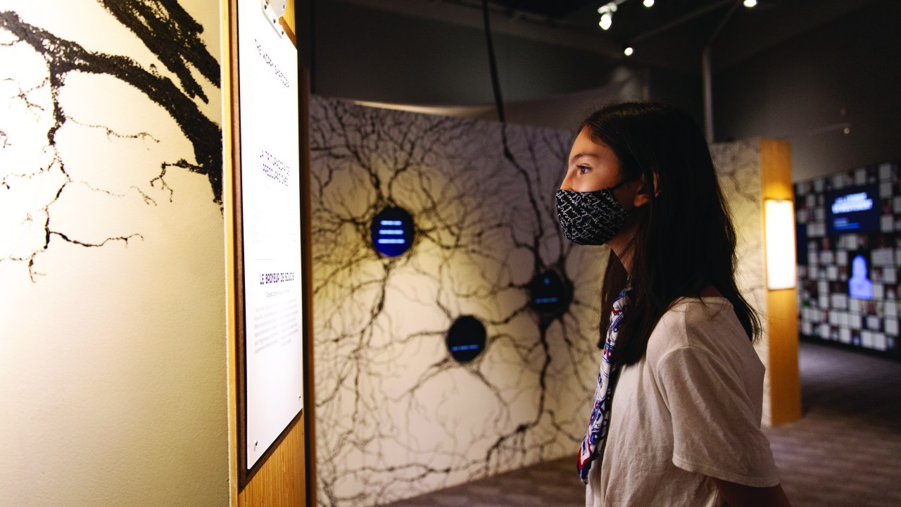 A person wearing a mask stands reading wall text in a museum gallery.