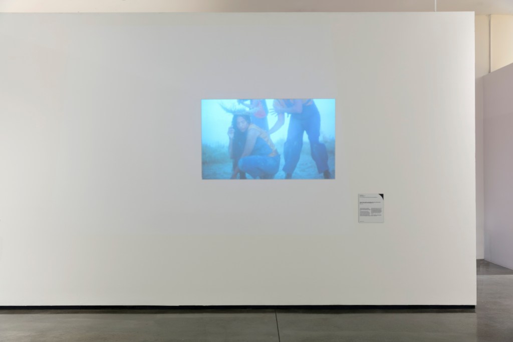 A photograph of a video installation on a gallery wall showing people crouching on the desert floor